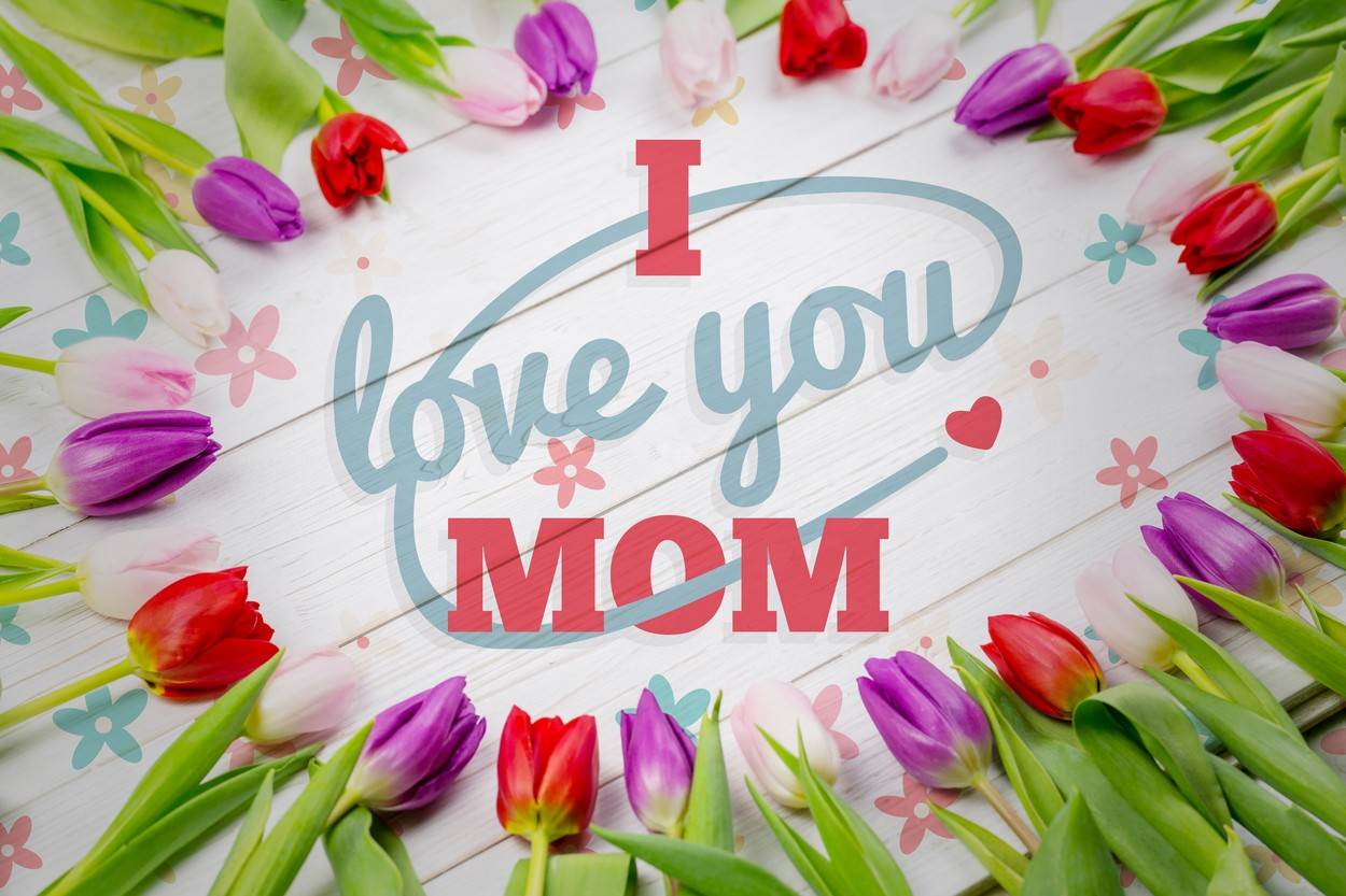  Tulip;Pure;Nature;Plant;Flower;Bloom;Blooming;Beautiful;Natural;Blossom;Delicate;Petal;Beauty;In Bloom;Fresh;Freshness;Springtime;Table;Desk;Floral;Pattern;Wallpaper;Mothers Day;Love;Design;I Love You Mom;Red;Blue 