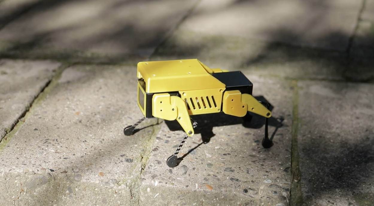  Mini Pupper robot (7) 