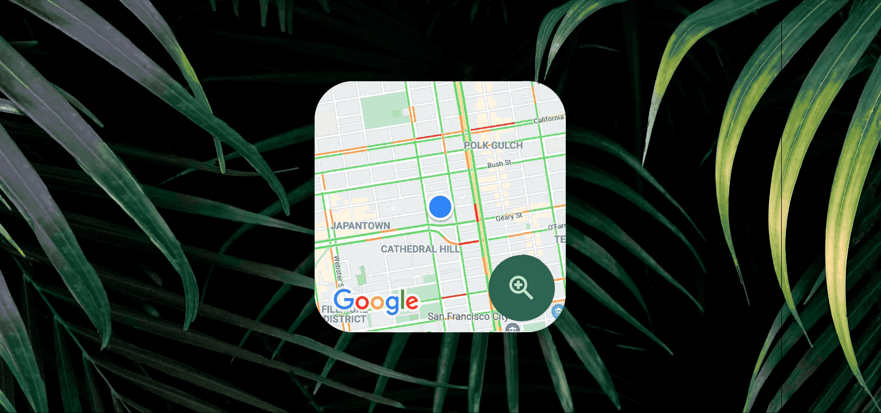  Google Maps-Zoom.gif 