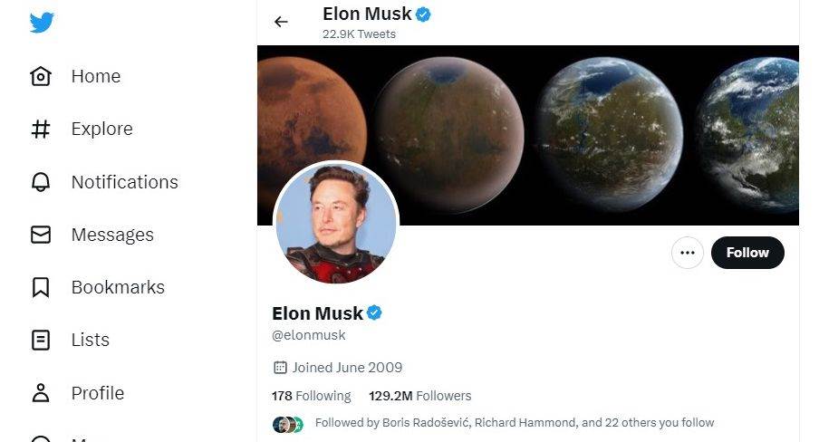  Twitter plava kvačica Elon Musk.jpg 