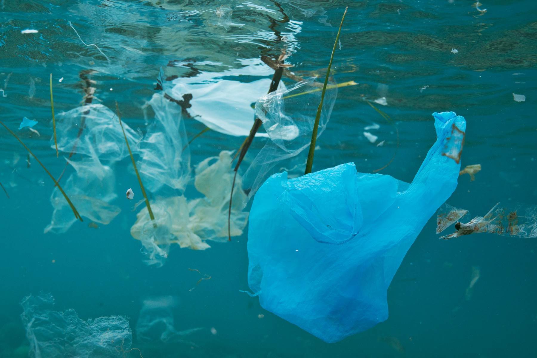  BIOLOGICAL;ECOLOGICAL;ECOSYSTEM;ENVIRONMENT;ENVIRONMENTAL IMPACT;EUROPEAN;NATURE;NO-ONE;NOBODY;PLASTIC;PLASTICS;POLLUTED;POLLUTION;SPANISH;UNDER WATER;PLASTIC BAG;CARRIER BAG;WASTE;JUNK;RUBBISHEUROPE;SEA;UNDERWATER;OCEAN;MEDITERRANEAN;SPAIN;SURFACE FLOATINGBIOLOGY;MARINE BIOLOGY;ECOLOGY;category_code_environment 