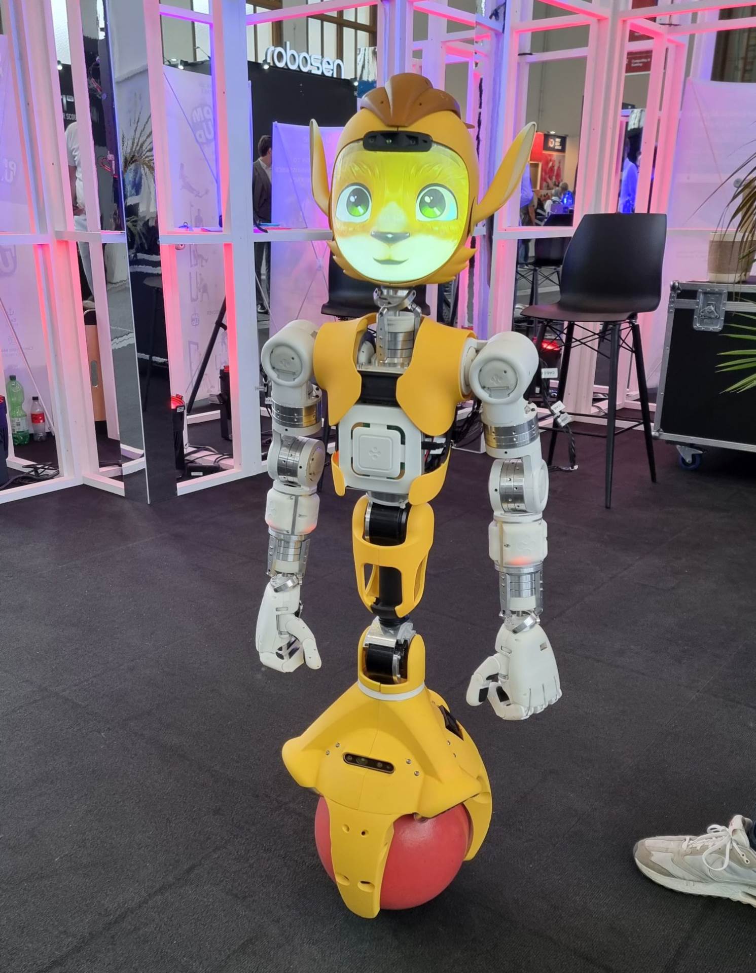  Mirokai robot (1).jpg 