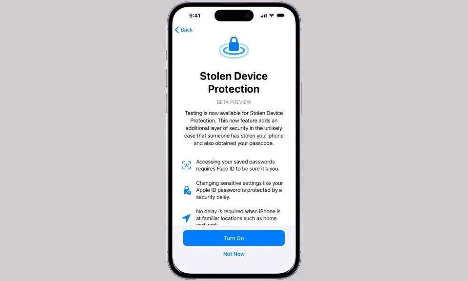  Apple Stolen Device Protection.jpg 