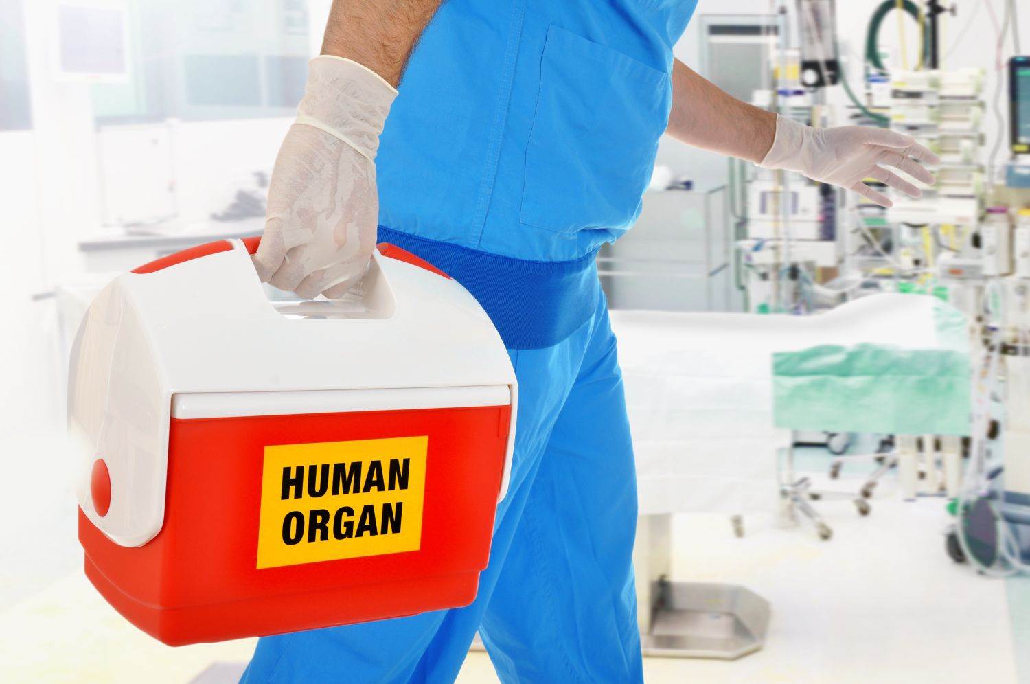  organ,op,suitcase,organ transplant,organ donation,doctor,courier 
